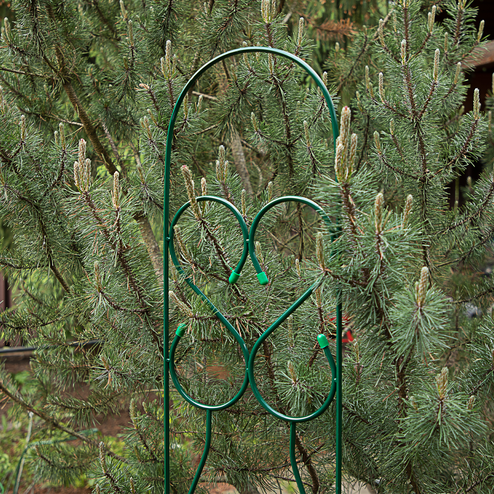 Миниатюра изображения товара 8