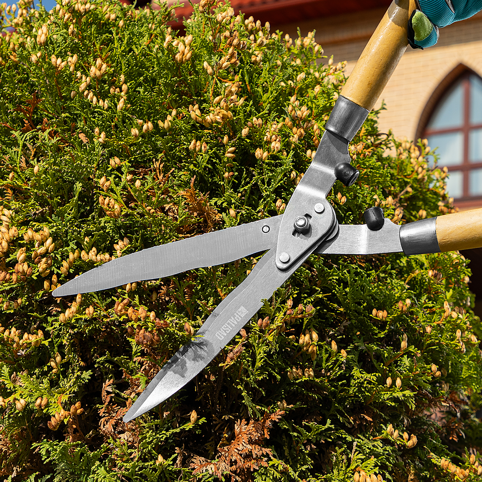 Миниатюра изображения товара 2