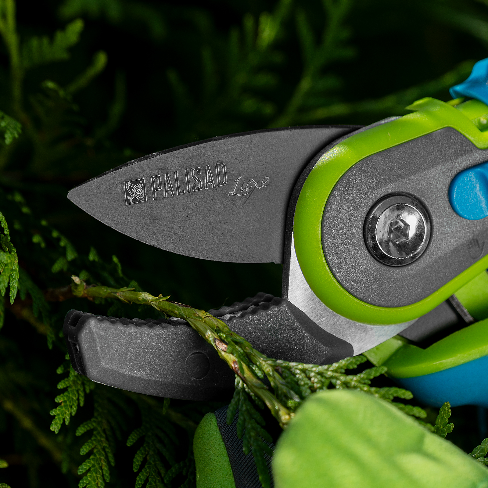 Миниатюра изображения товара 10