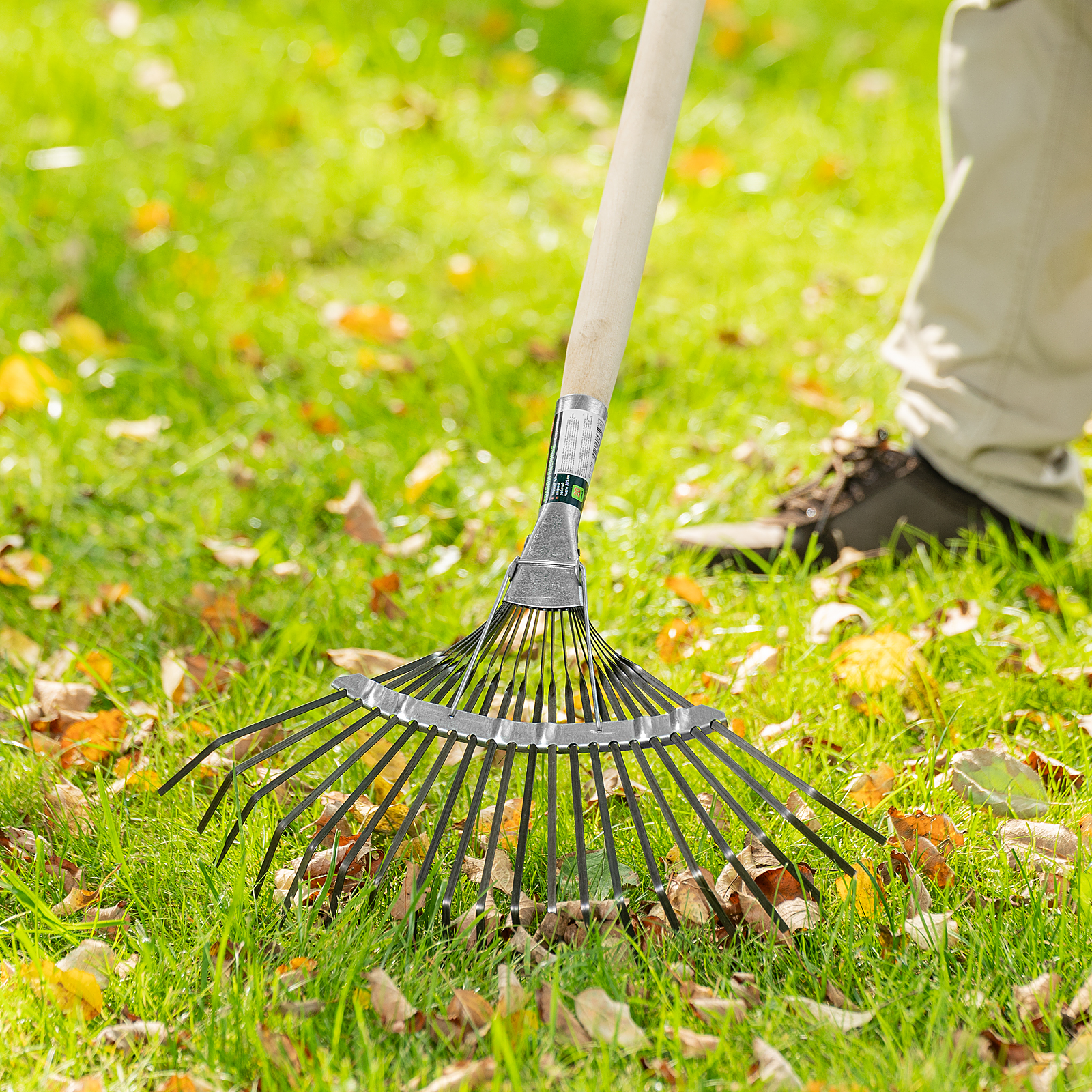 Миниатюра изображения товара 6