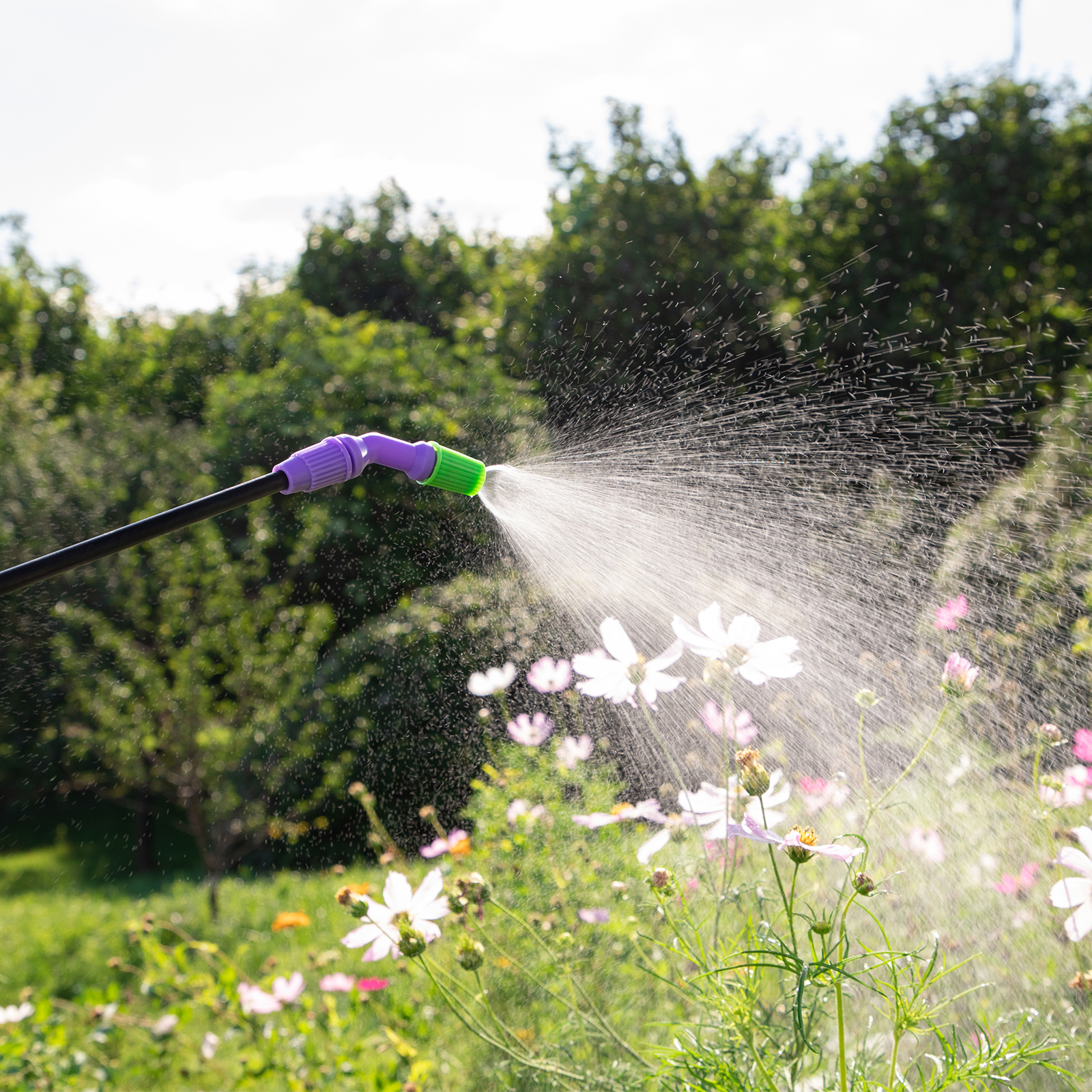 Миниатюра изображения товара 15