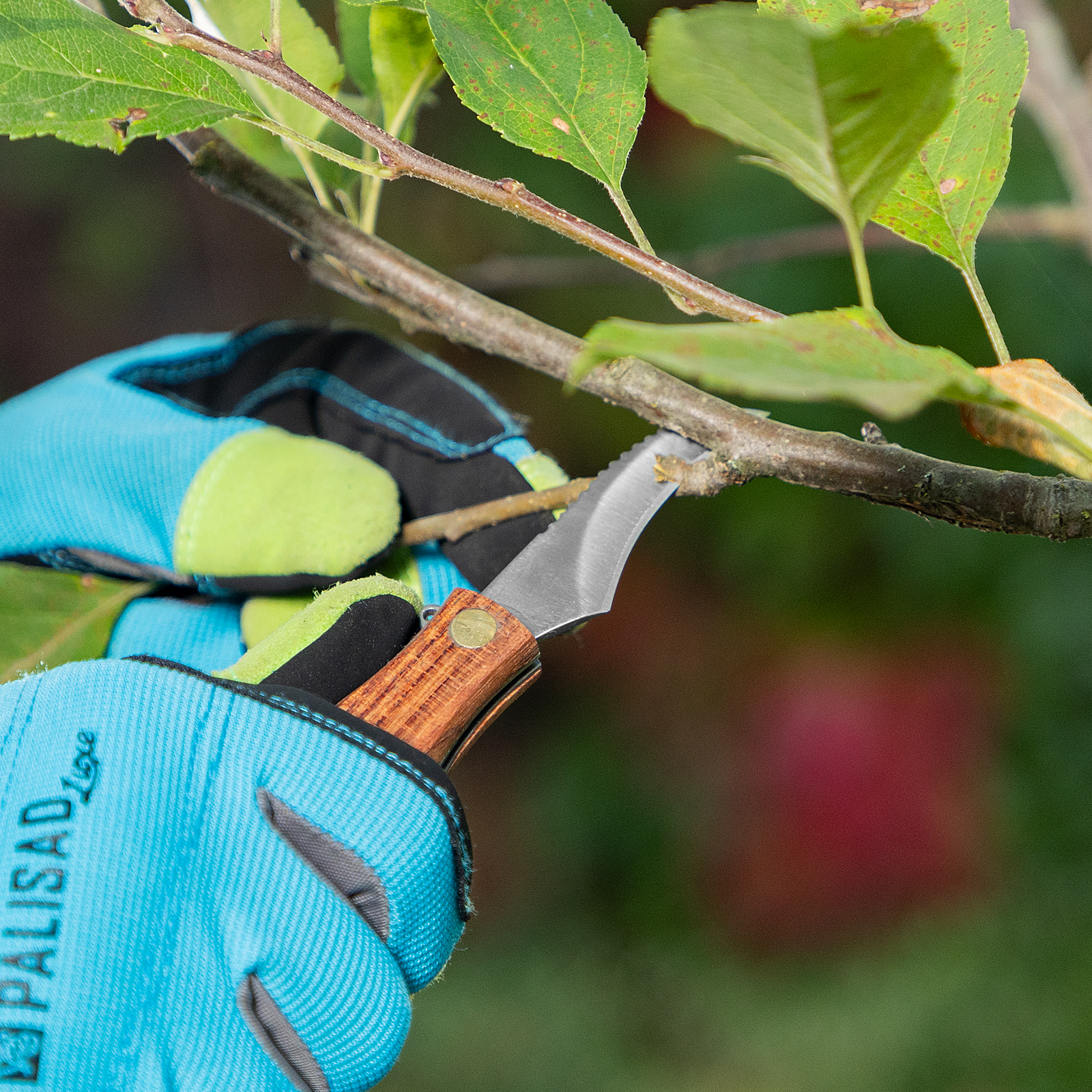 Миниатюра изображения товара 10