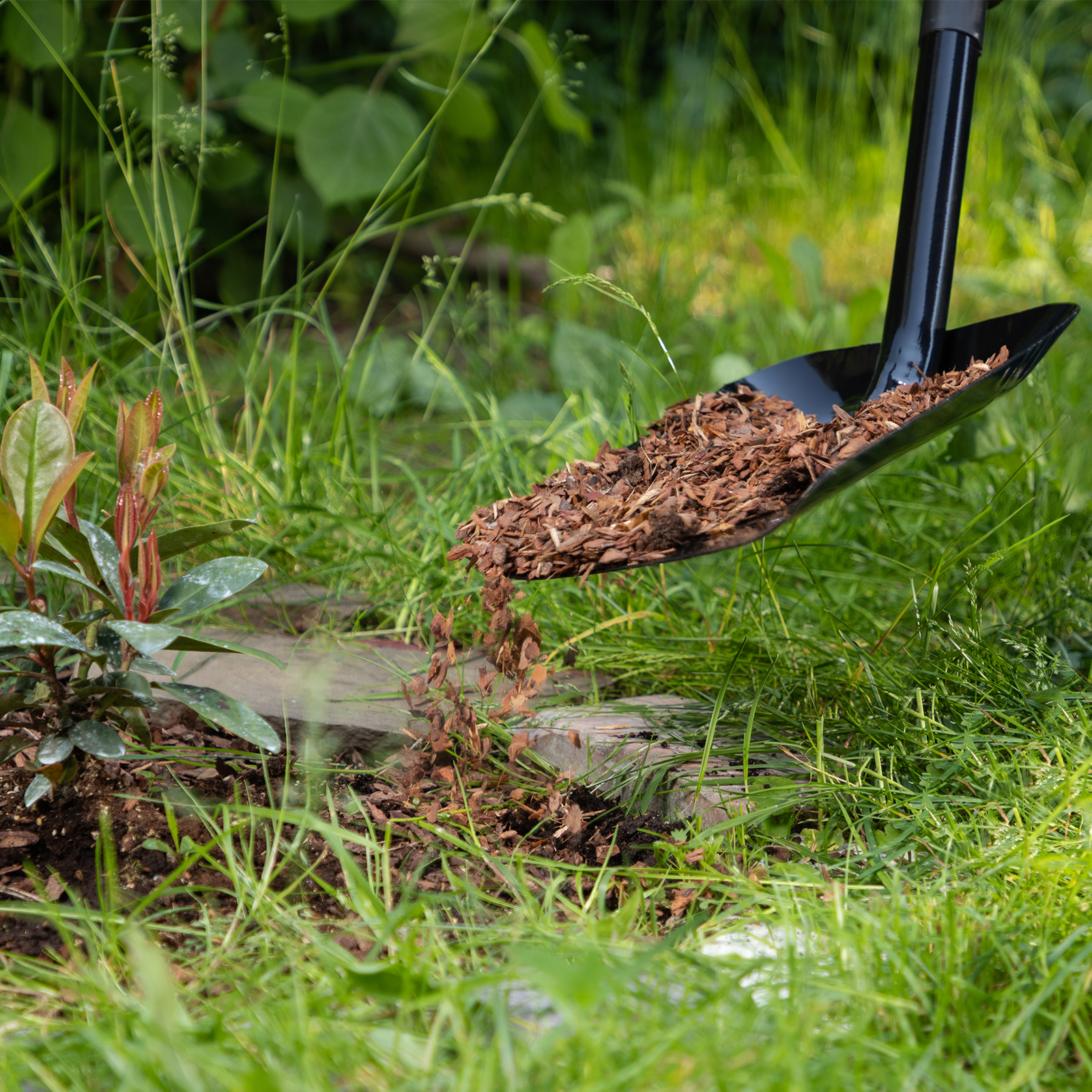 Миниатюра изображения товара 9