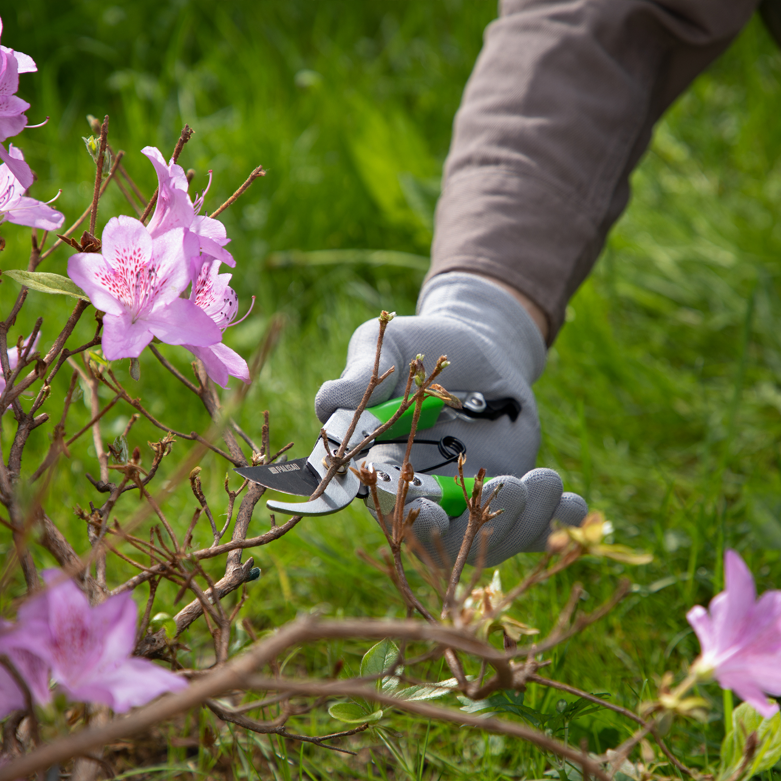 Миниатюра изображения товара 9