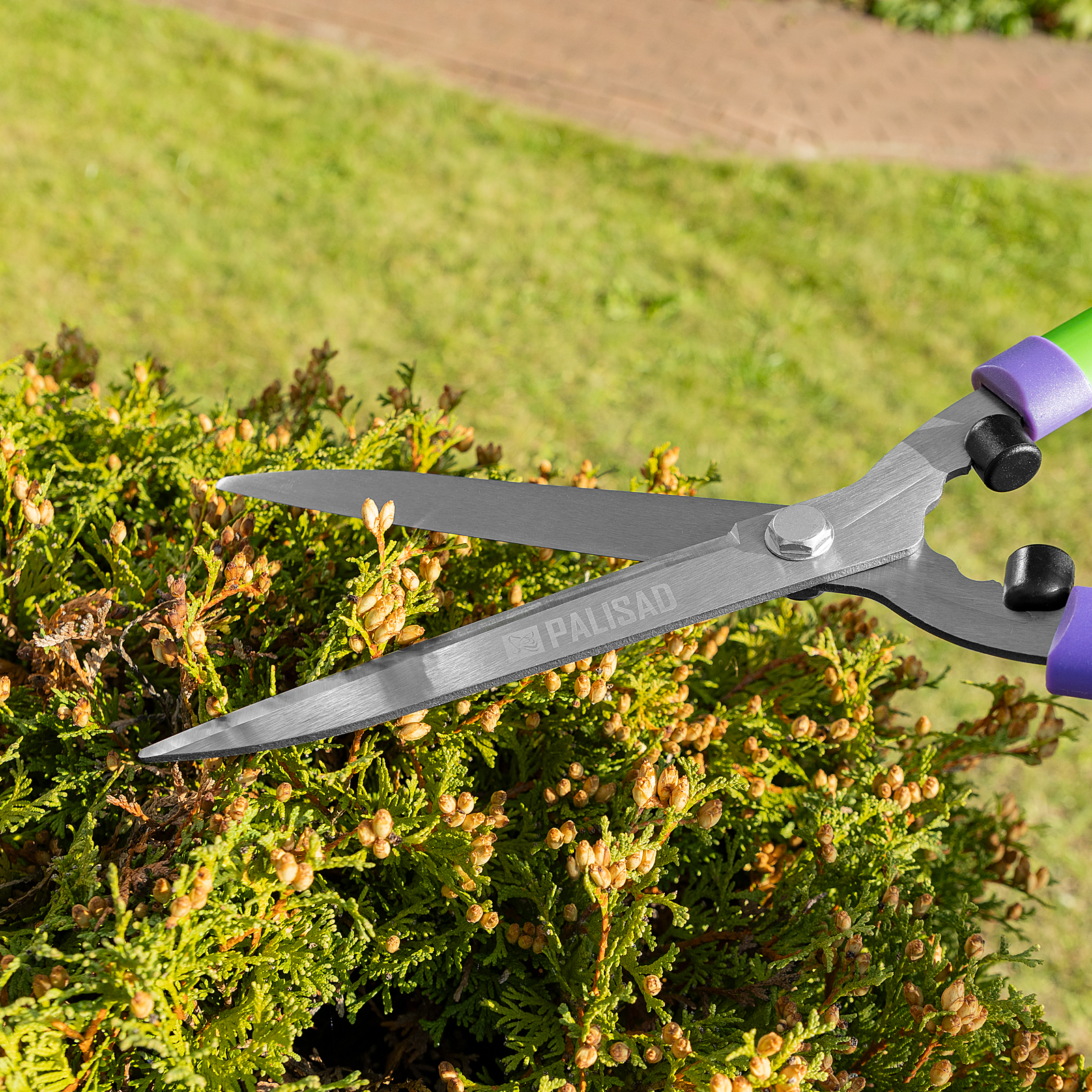 Миниатюра изображения товара 11