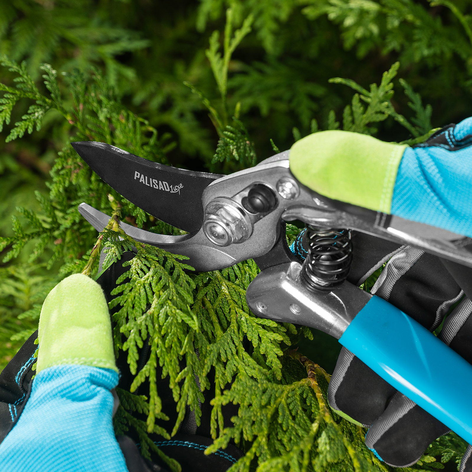 Миниатюра изображения товара 13