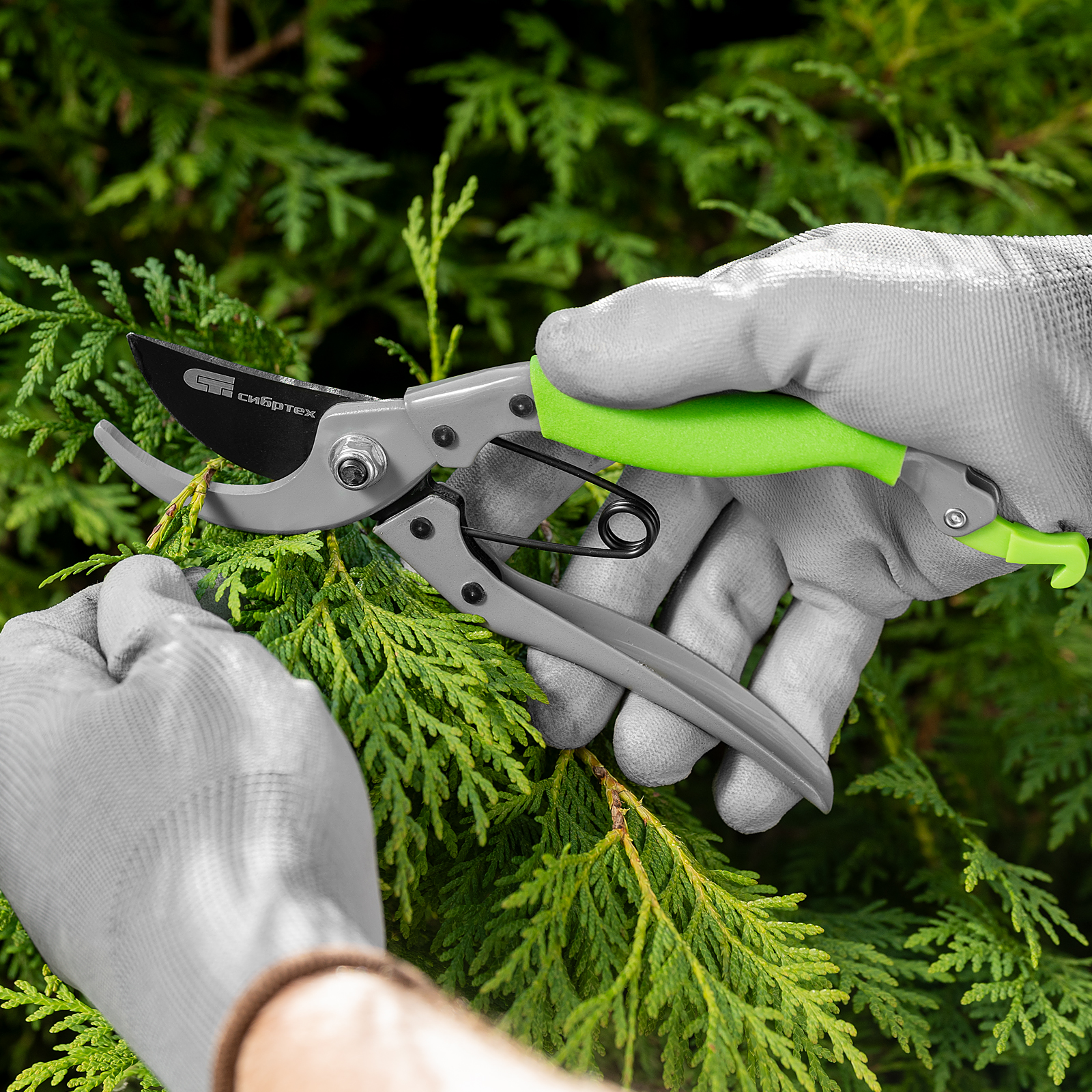 Миниатюра изображения товара 10