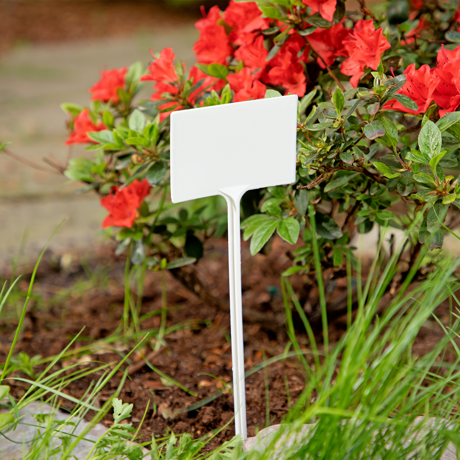 Миниатюра изображения товара 6