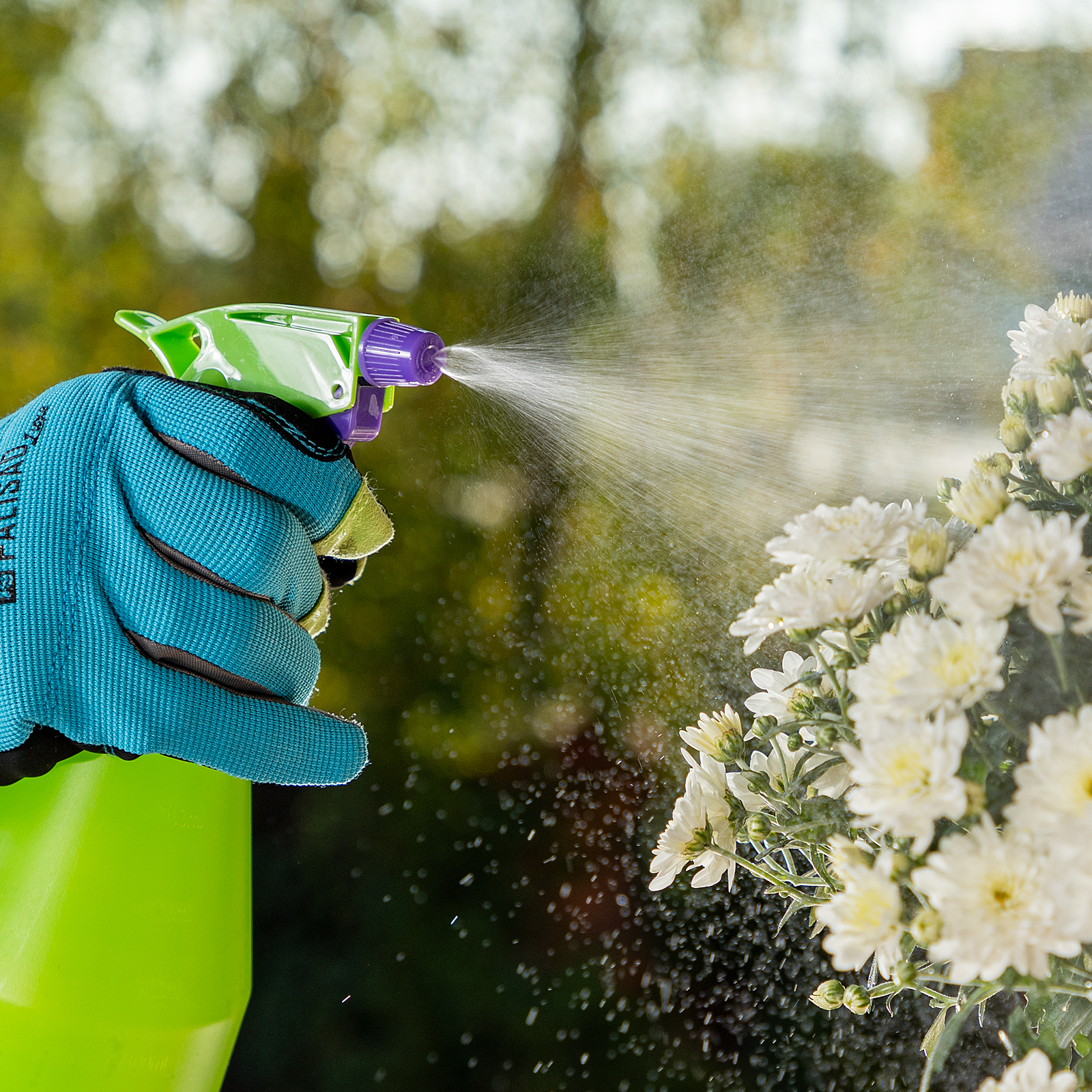 Миниатюра изображения товара 8