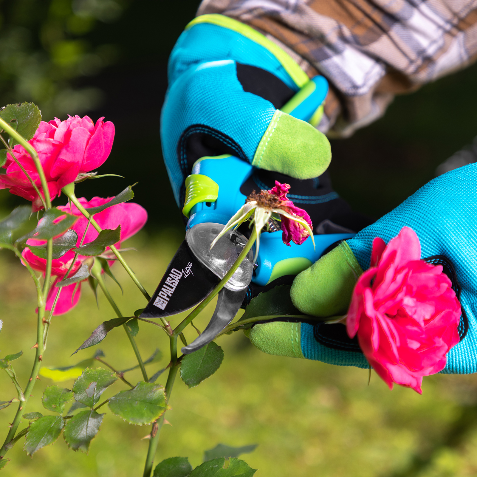 Миниатюра изображения товара 7