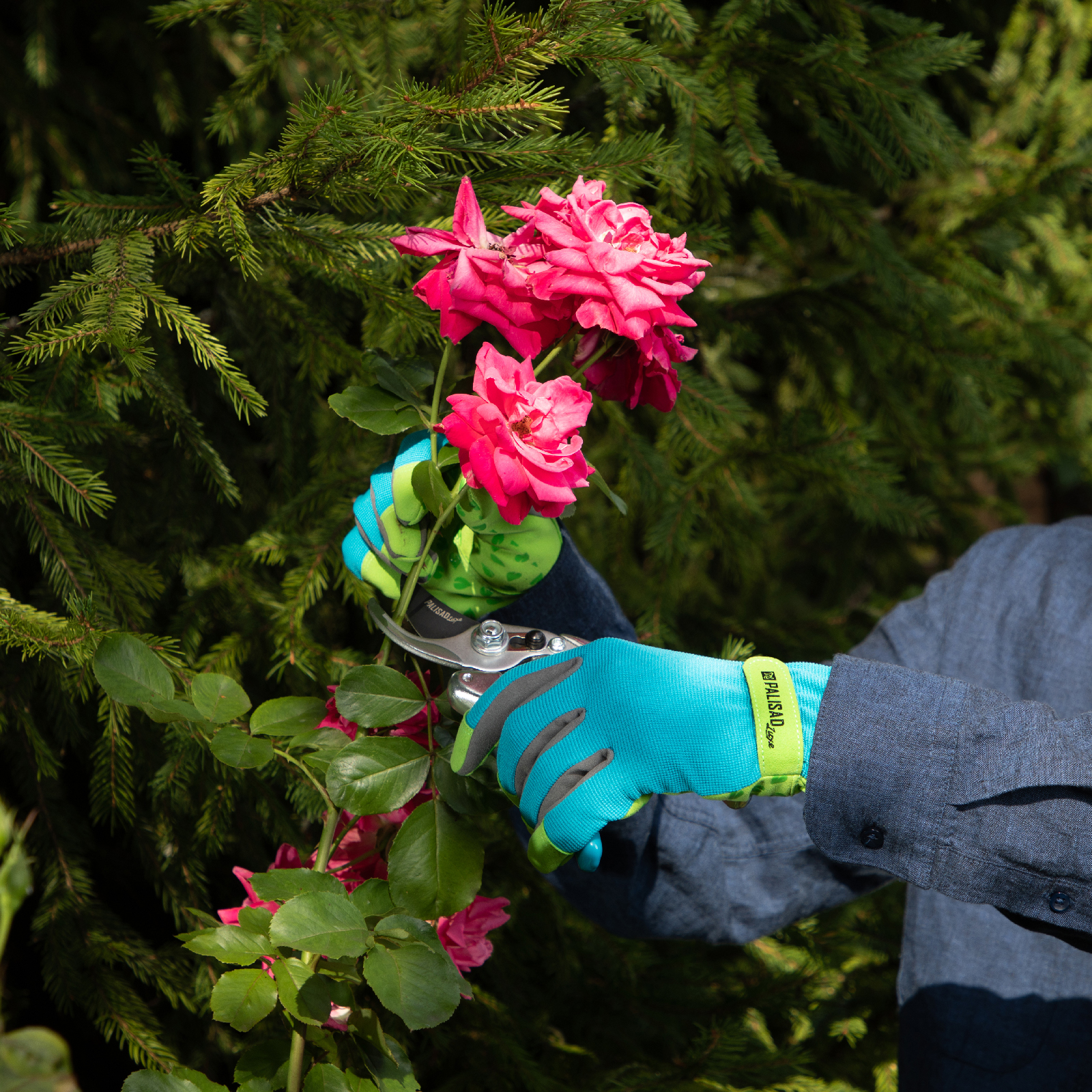 Миниатюра изображения товара 5