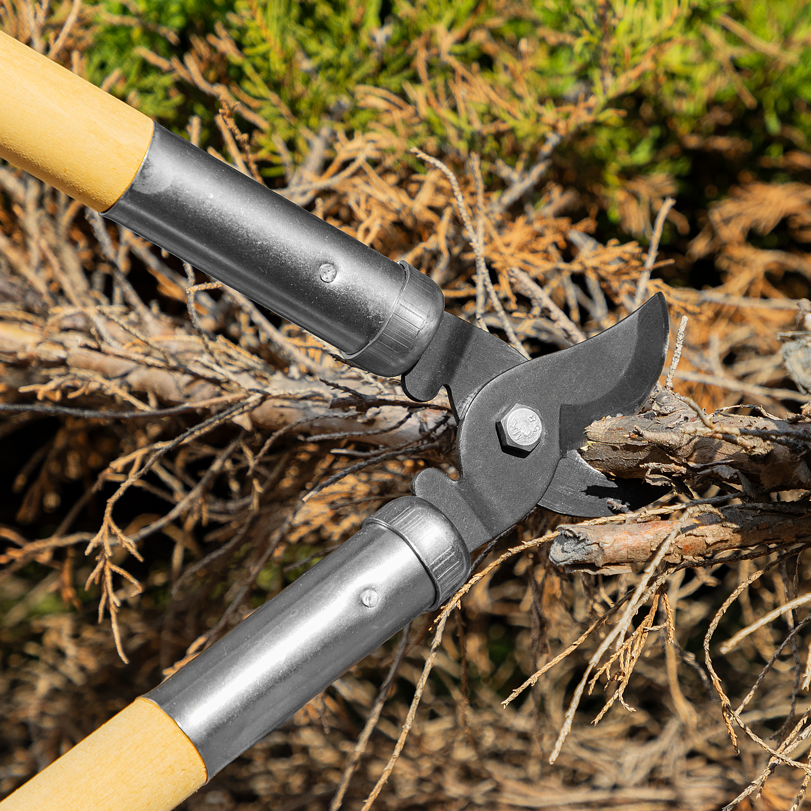 Миниатюра изображения товара 7