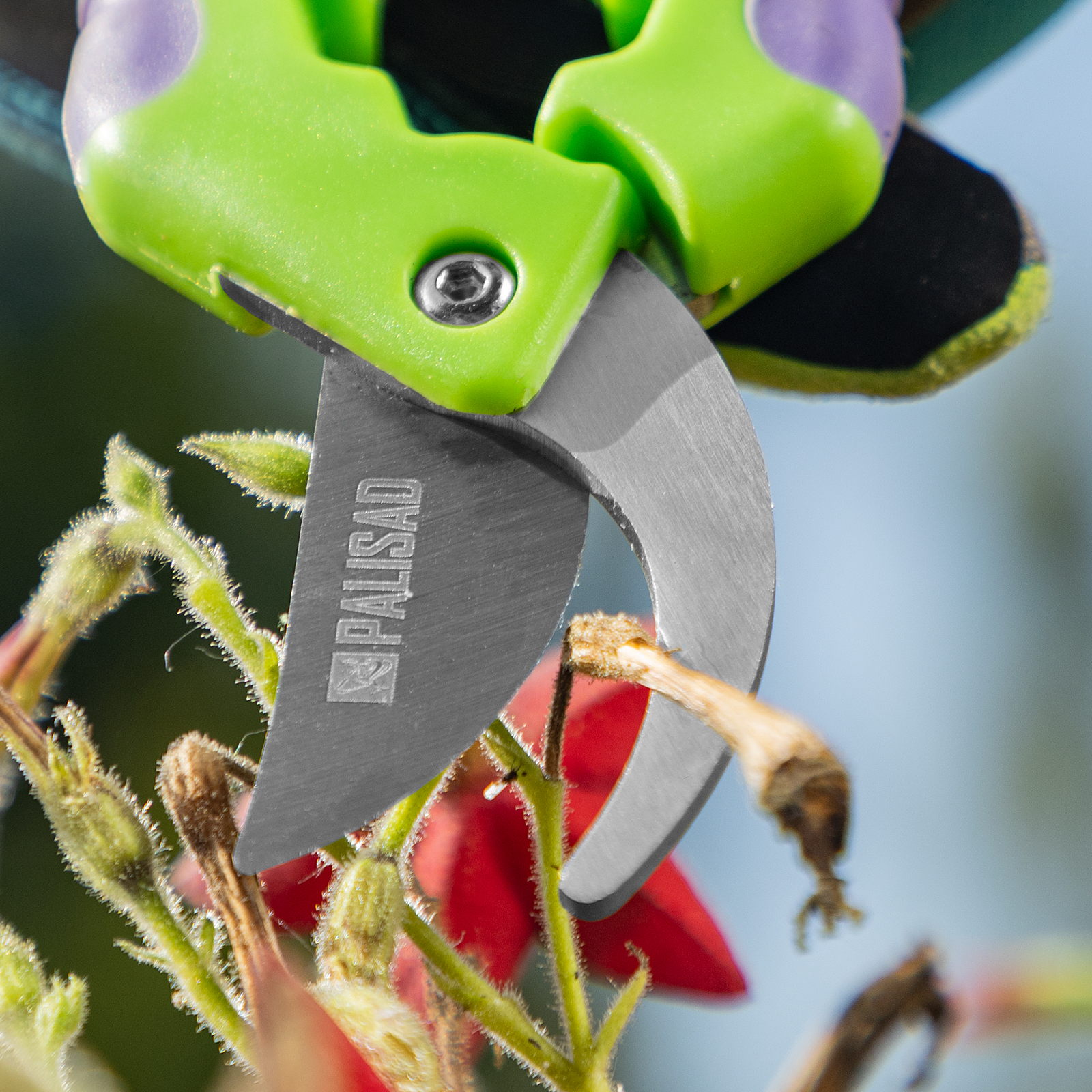 Миниатюра изображения товара 8