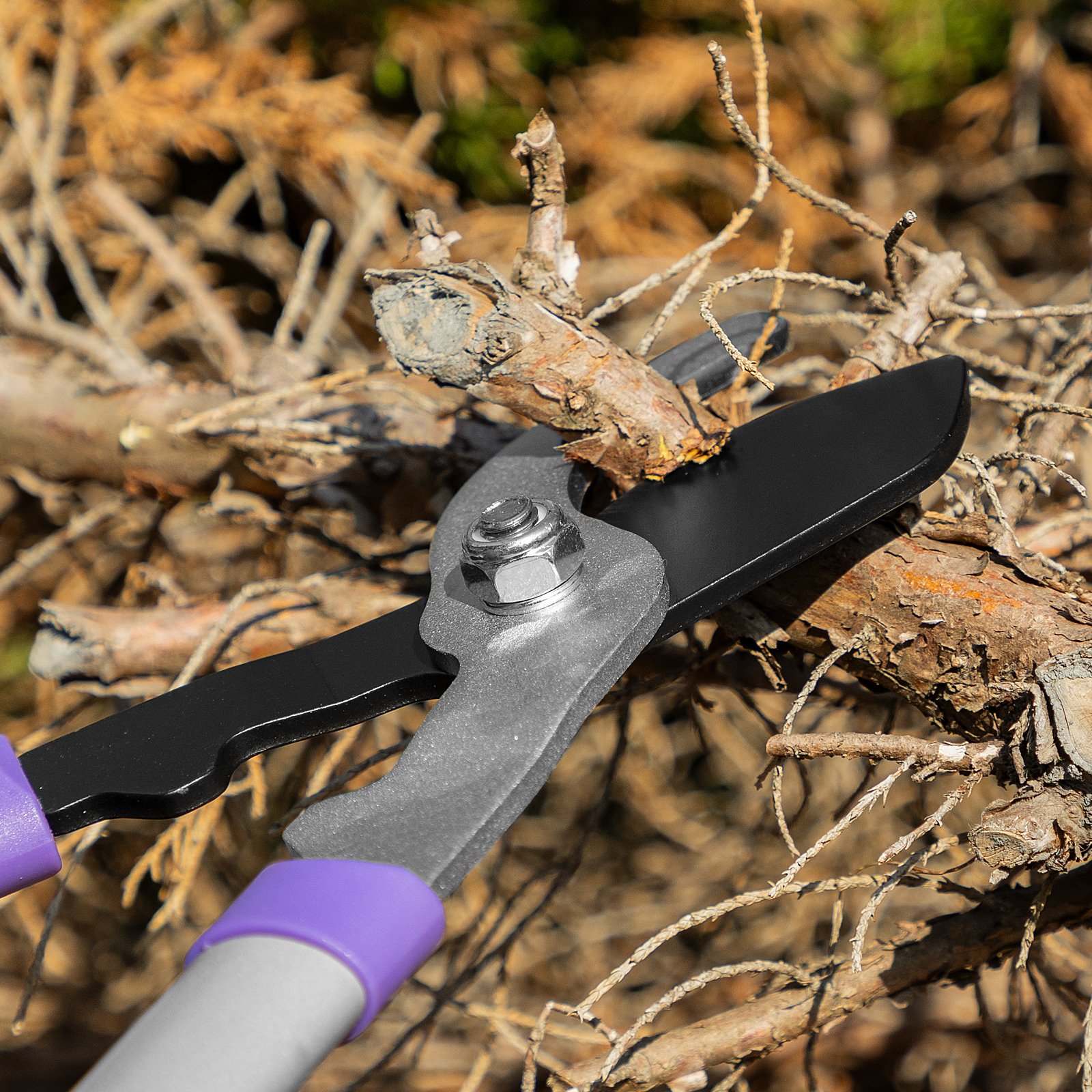 Миниатюра изображения товара 13