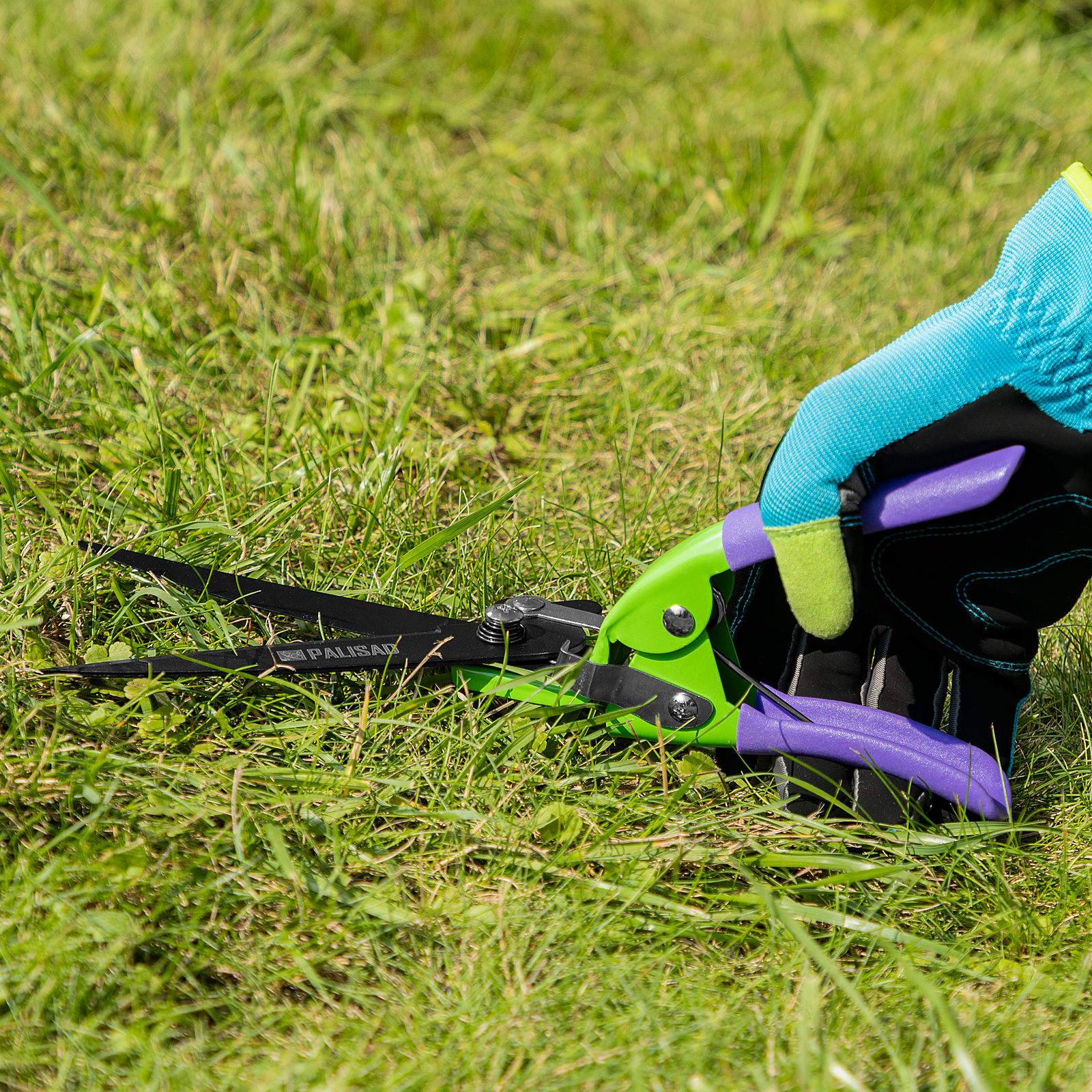 Миниатюра изображения товара 7